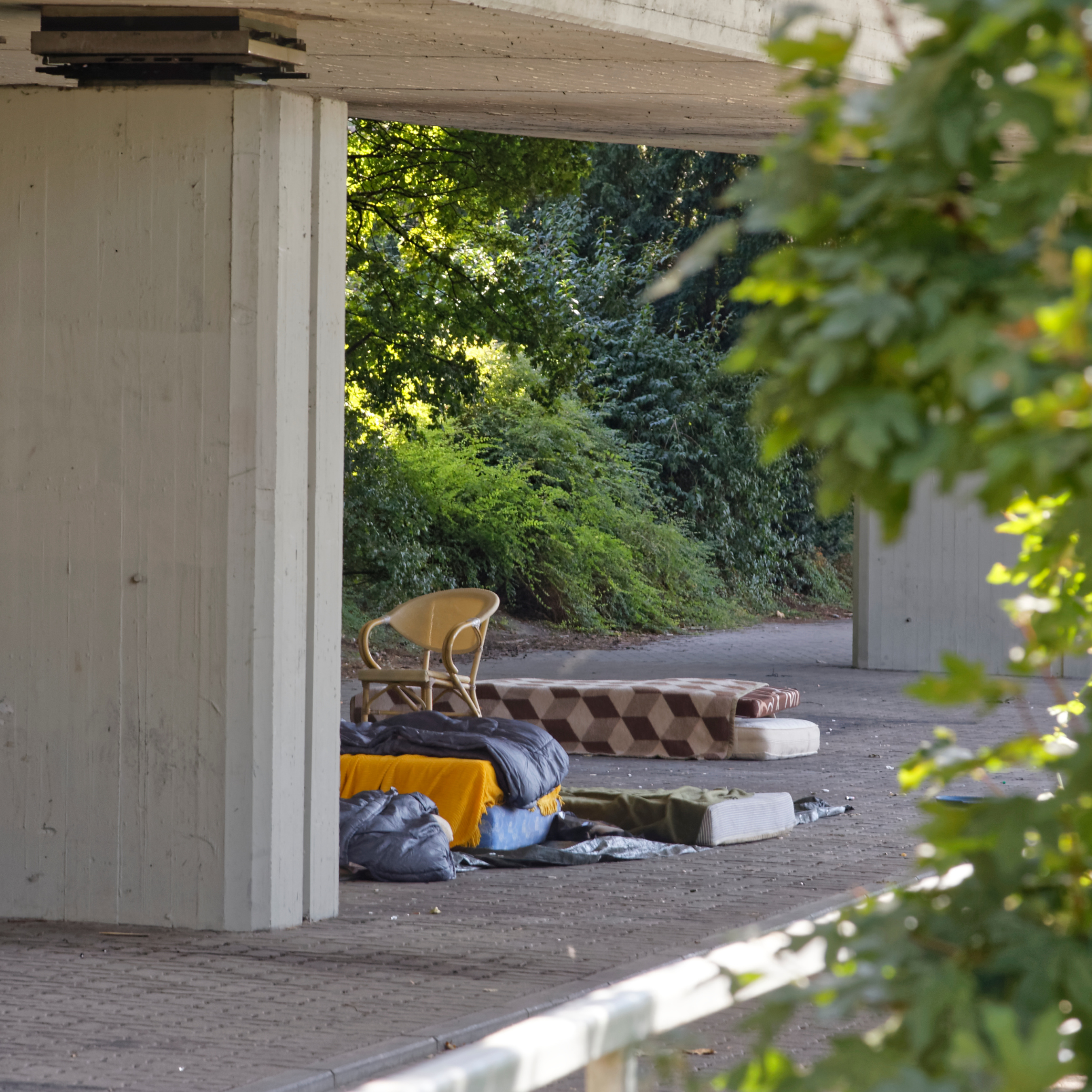 Beyond the Bridge Documentary Viewing

October 14, 6 – 8:30 PM | McFarland Hall
View a special screening of Beyond The Bridge: A Solution to Homelessness and learn about two initiatives Second is involved in with our broader community: Thriving Families and Streets to Home.

Learn More

