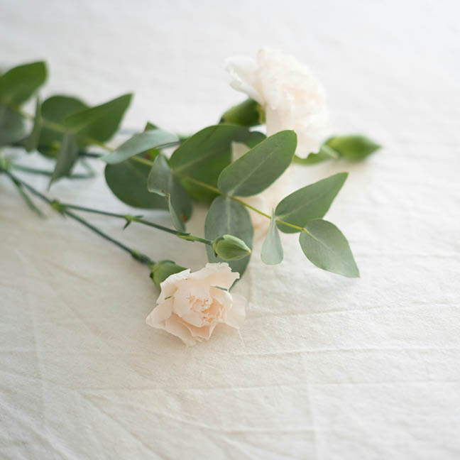 Funerals

The death of a loved one can be a grief-filled and overwhelming time. We are here to help.

