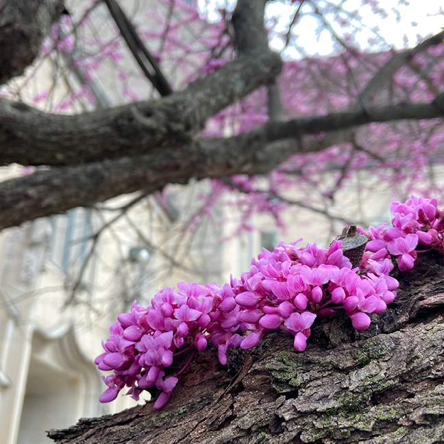 May Memorial Service

May 21, 7 – 8 PM | Sanctuary
Pre-Service Reception, 6 PM | Parlor
This special worship service is the focal point of an evening set aside to remember loved ones who have died.
