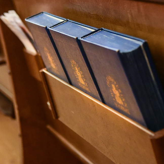 Worshiping as Community: Our Presbyterian Hymnal

November 9, 16, and 23, 11:30 AM – 12:30 PM | Room 356
This three-Sunday exploration of the Presbyterian hymnal delves into its structure, history, and the powerful role congregational singing plays in worship.

Learn More

