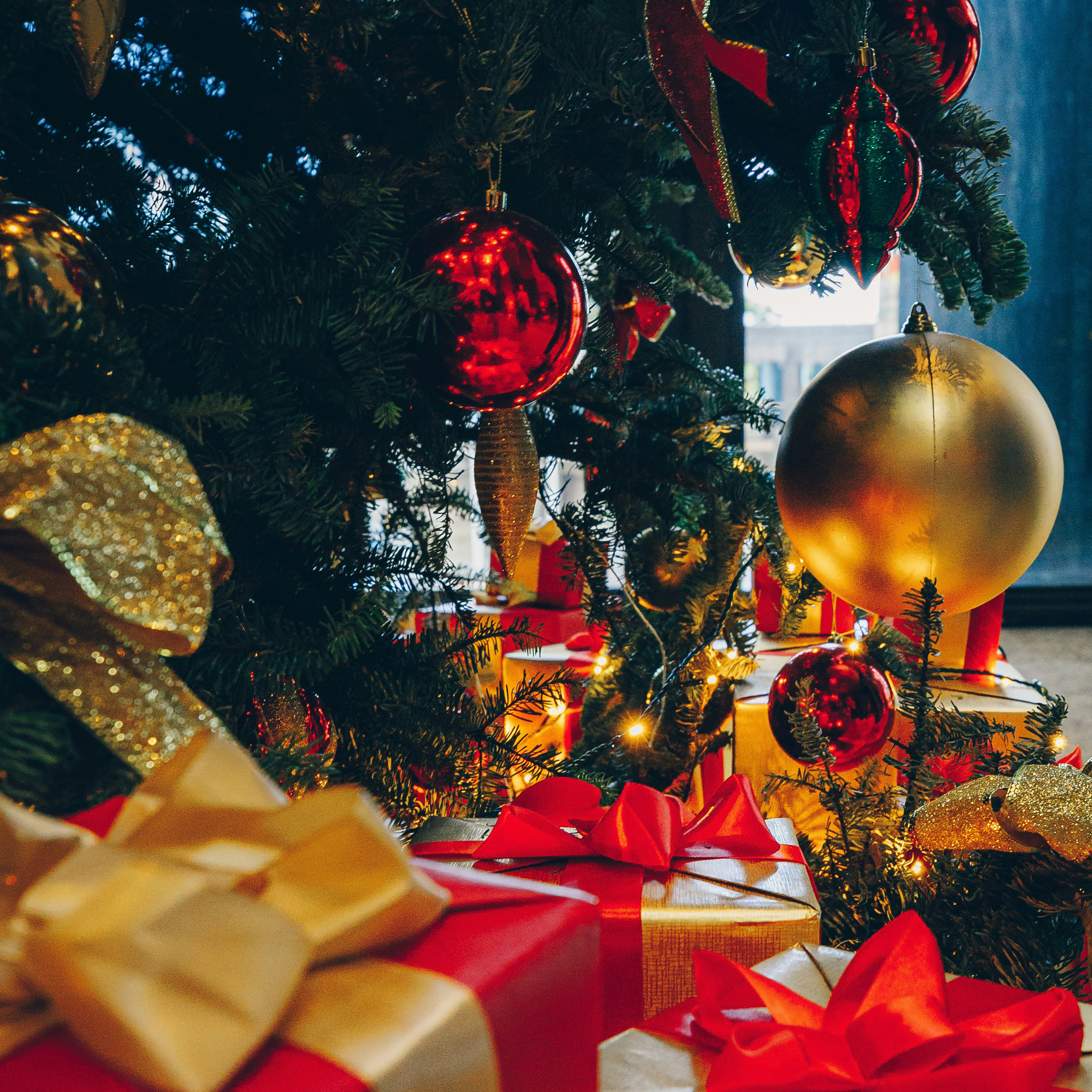 Young Adults & The Belonging Christmas Dinner and Party

December 18, 7–8 PM | Community Room
Join us for a Christmas Dinner & Party with Young Adults and The Belonging—sharing a meal, enjoying a festive activity, and reflecting on Advent together. Festive attire encouraged!

Register
