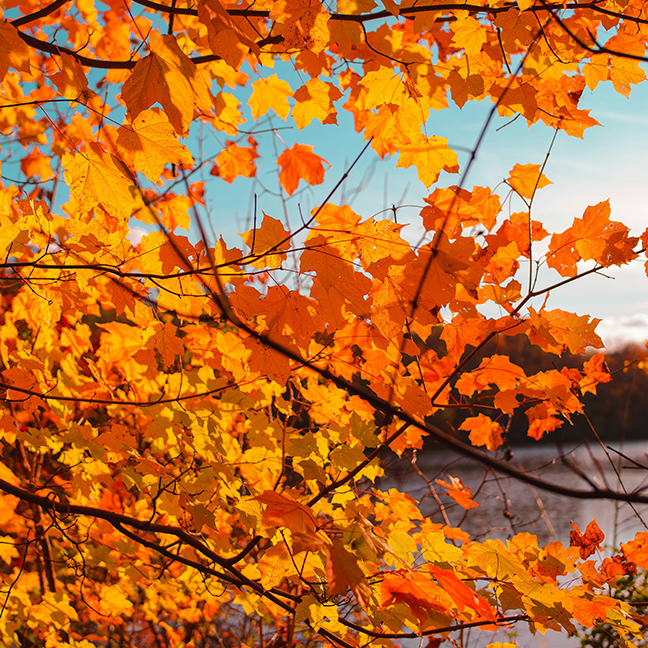 Youth Fall Retreat 2026

November 7-8, PYOCA Camp and Retreat Center, Brownstown, Indiana
A weekend to rest and recharge with friends, hike and explore in nature, and grow in your faith.

Learn More
